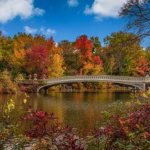 colorful foliage in central park