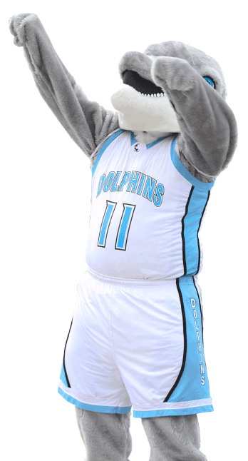 dolphin mascot wearing basketball uniform